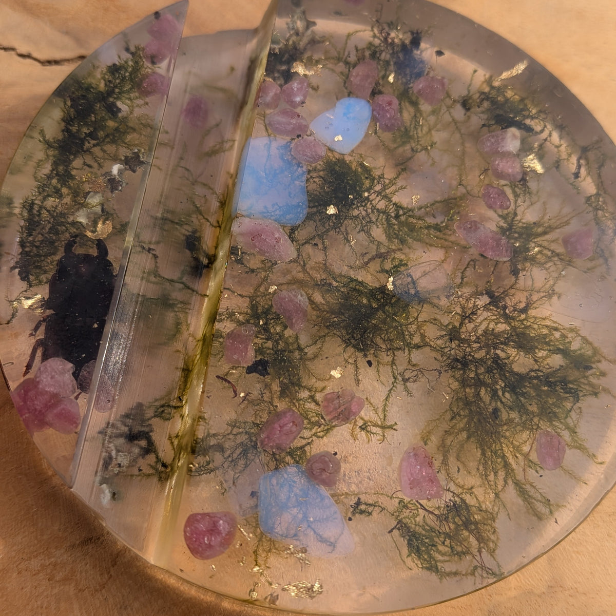 Nature inspired moss phone stand EL-Creations