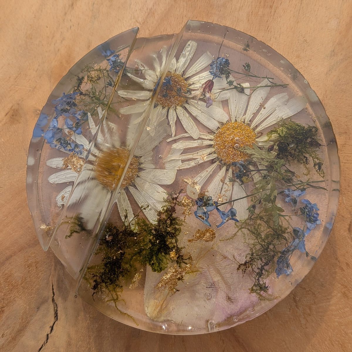 Botanical resin phone stand with daisy, Forget Me Not and moss – EL-CreationS