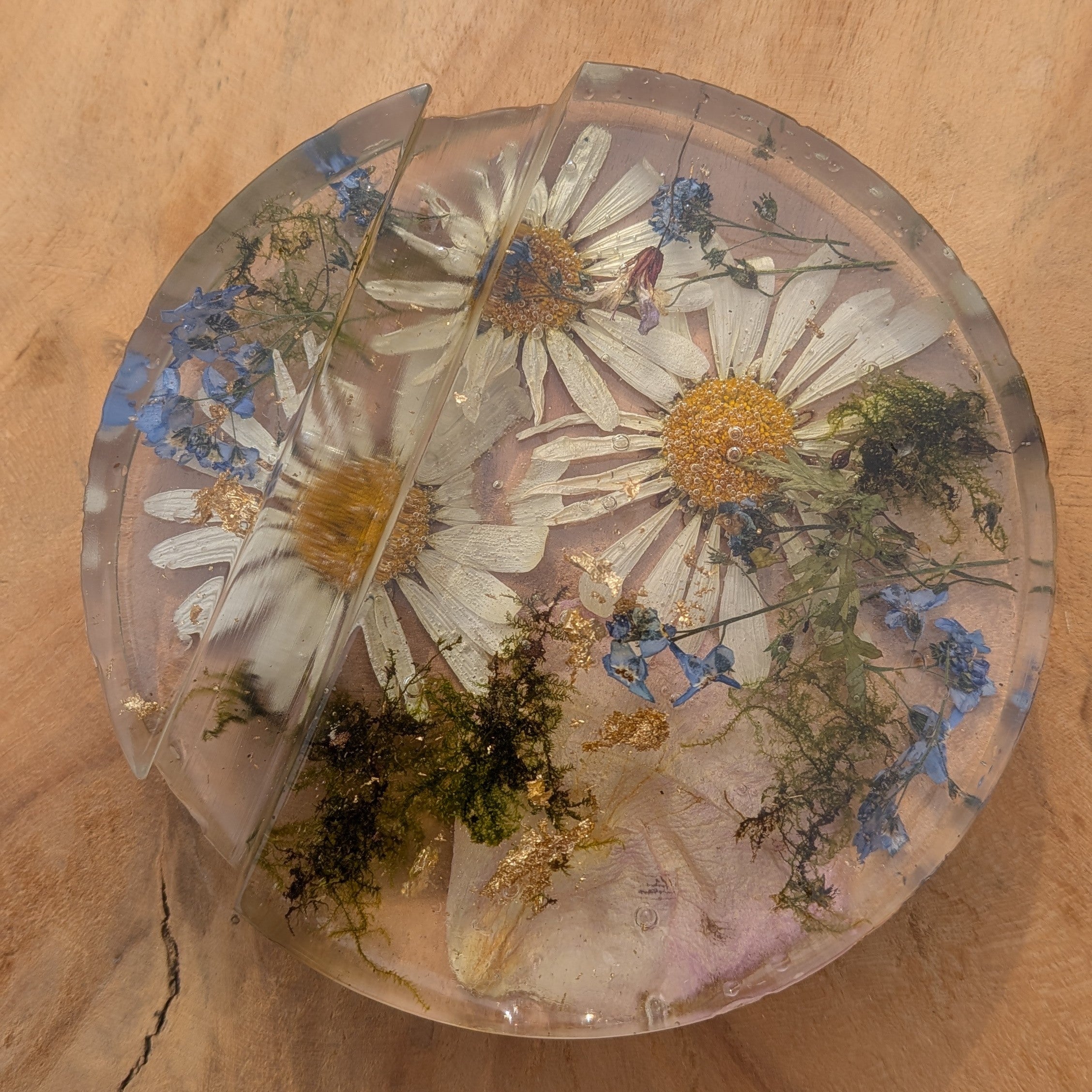 Botanical resin phone stand with daisy, Forget Me Not and moss – EL-CreationS