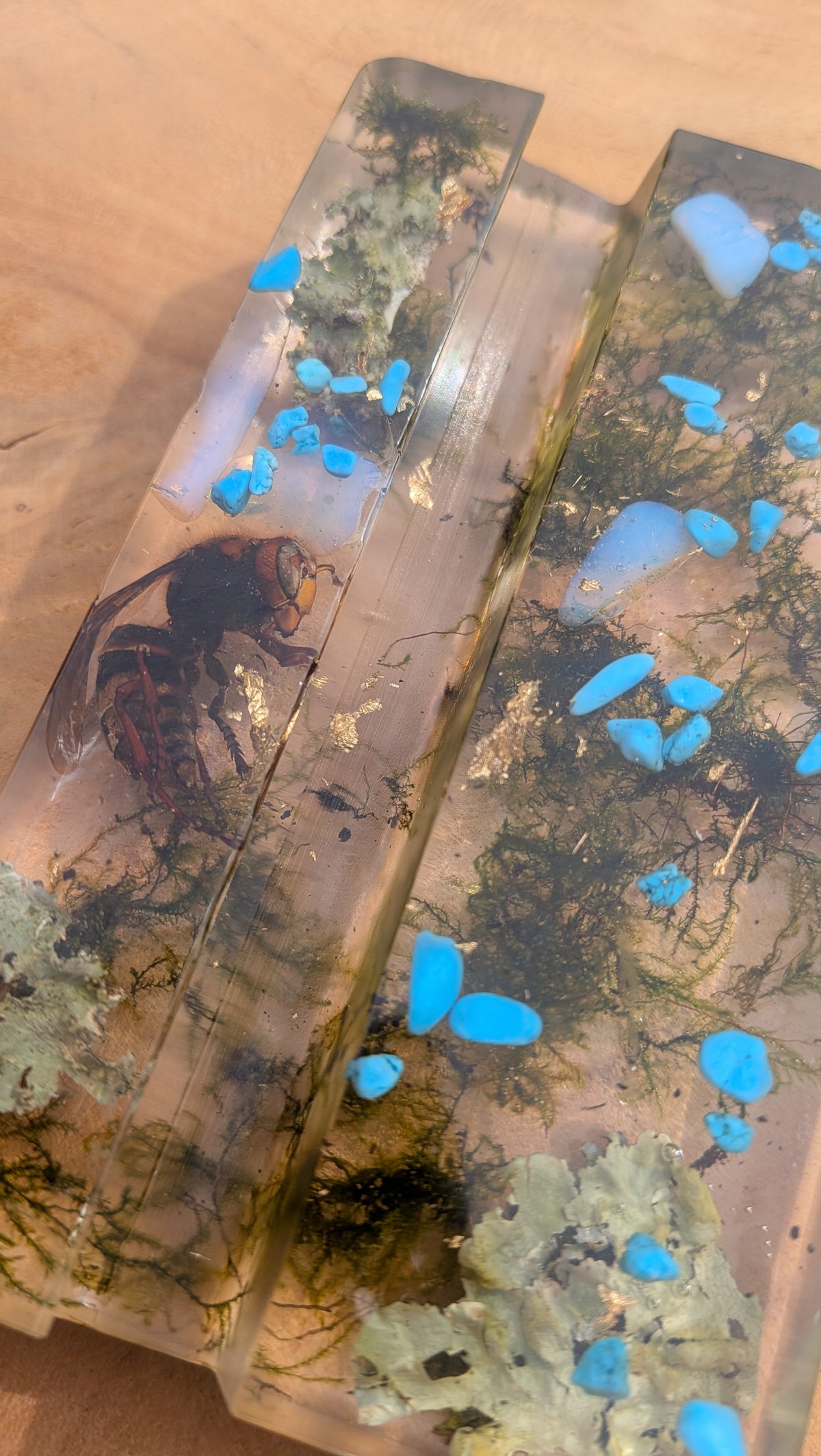 Unique handmade resin phone stand with preserved wasp – nature-inspired desk accessory – EL-CreationS