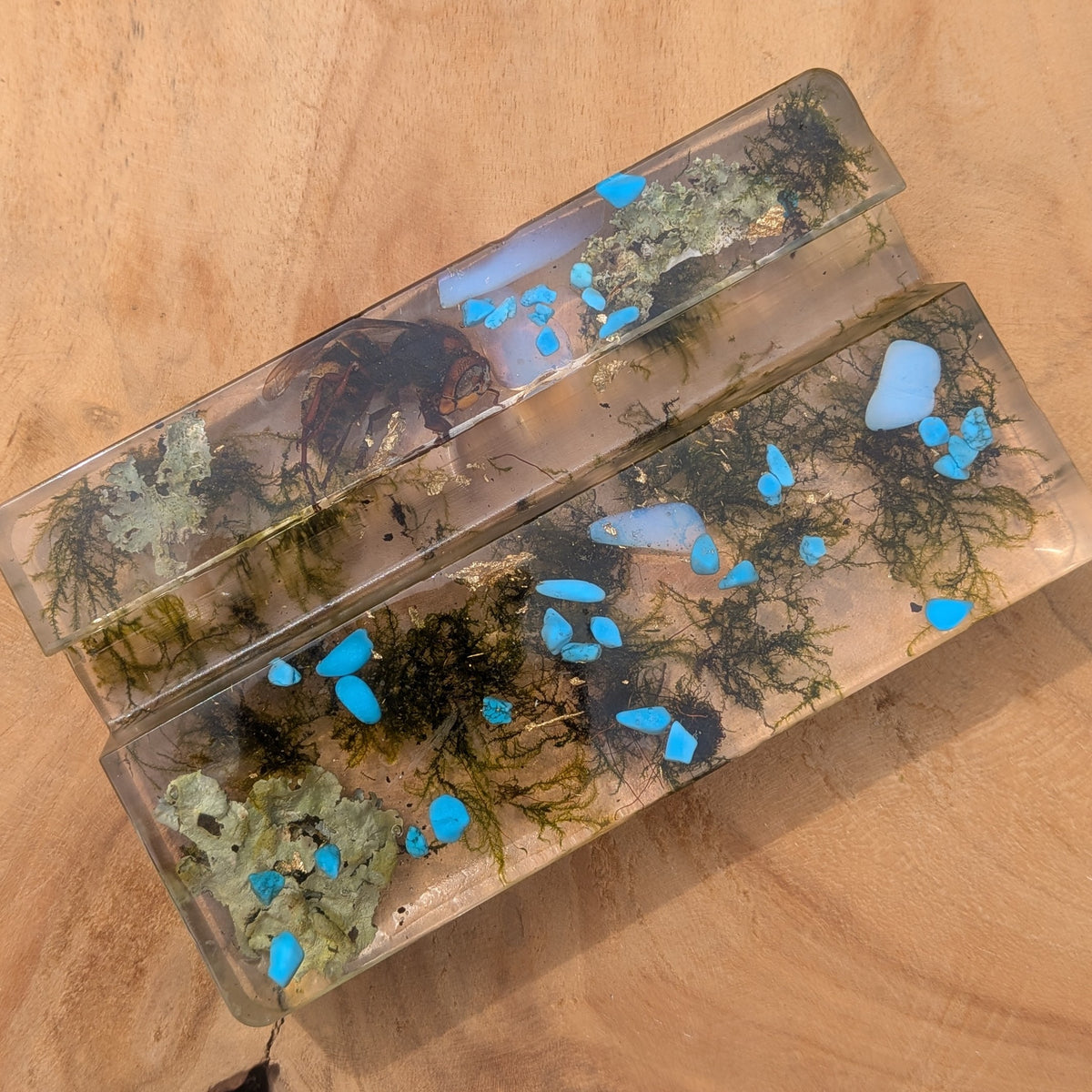 Beetle resin phone stand with preserved moss and blue stones – EL-CreationS
