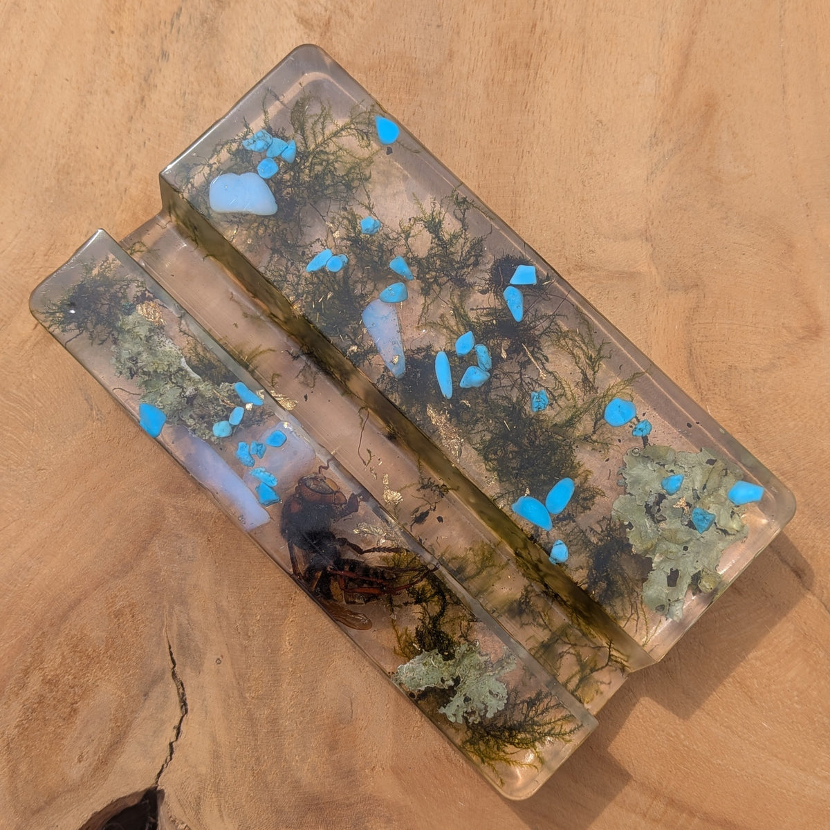 Handmade resin desk phone holder with naturally preserved beetle – EL-CreationS
