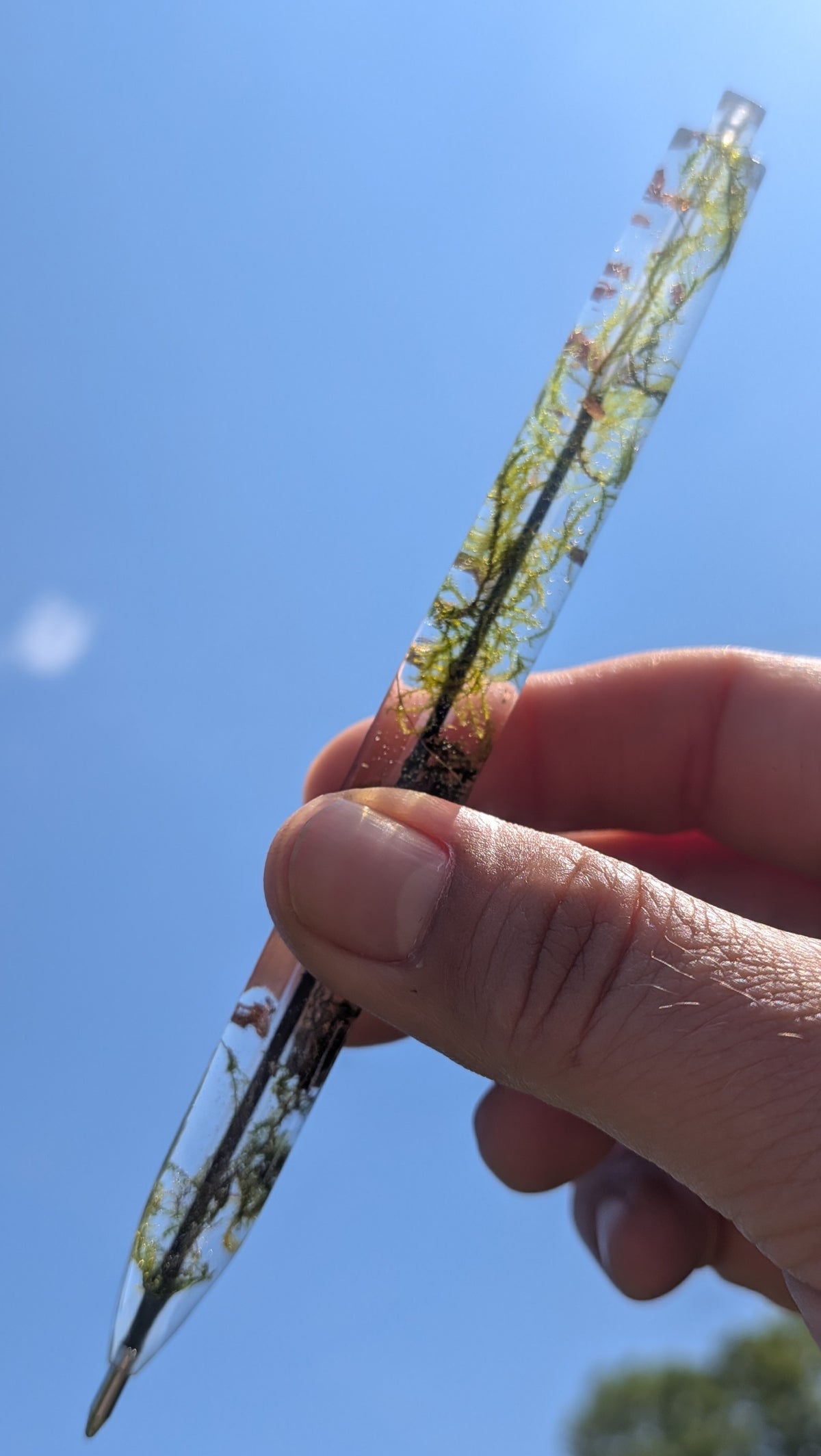 Handcrafted forest moss pen with crystal-clear resin – EL-Creations