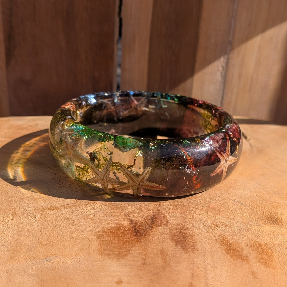 Clear resin bangle with real starfish and seashells side view showing 23mm width and high-gloss dome profile – EL-Creations