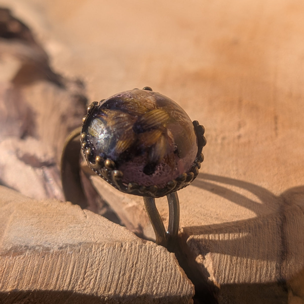 Adjustable botanical ring balanced upright in a crack in wood, showing the raised resin dome and decorative brown setting, EL-Creations