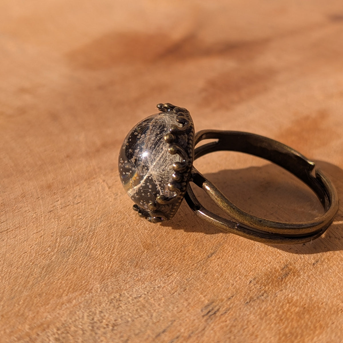Side view of an adjustable dandelion seed resin ring on wood, showing its raised cabochon and open brown alloy band, EL-Creations