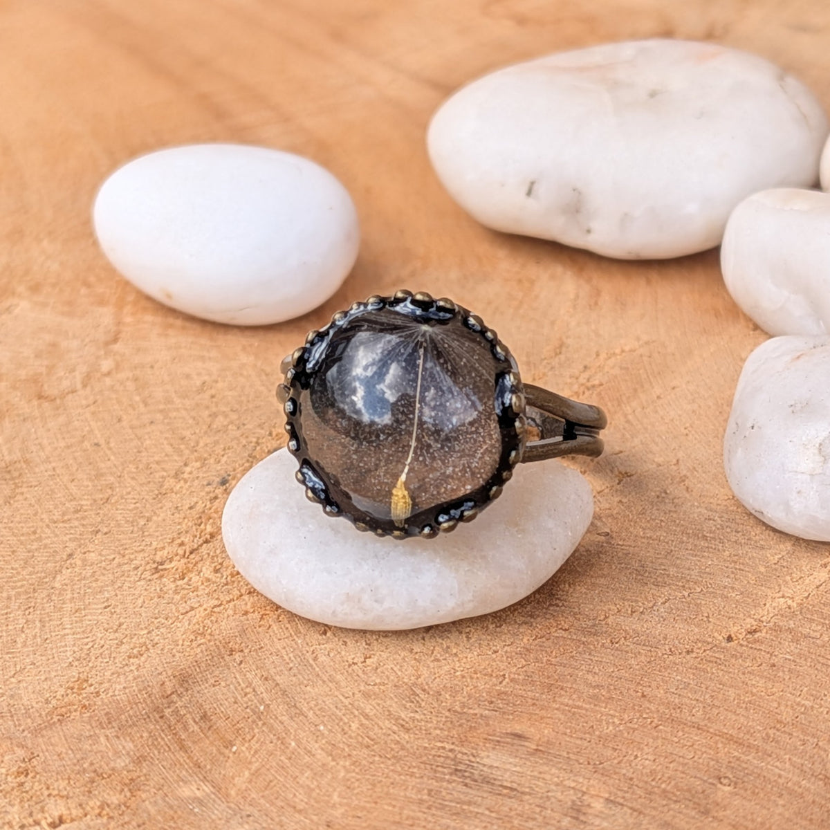 One Little Wish resin ring with a single dandelion seed beneath a glossy dome, resting on a white pebble among smooth stones, EL-Creations