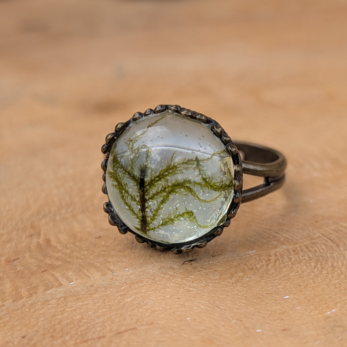 Macro view of real branching green moss preserved in resin, framed by a decorative brown ring setting on wood, EL-Creations