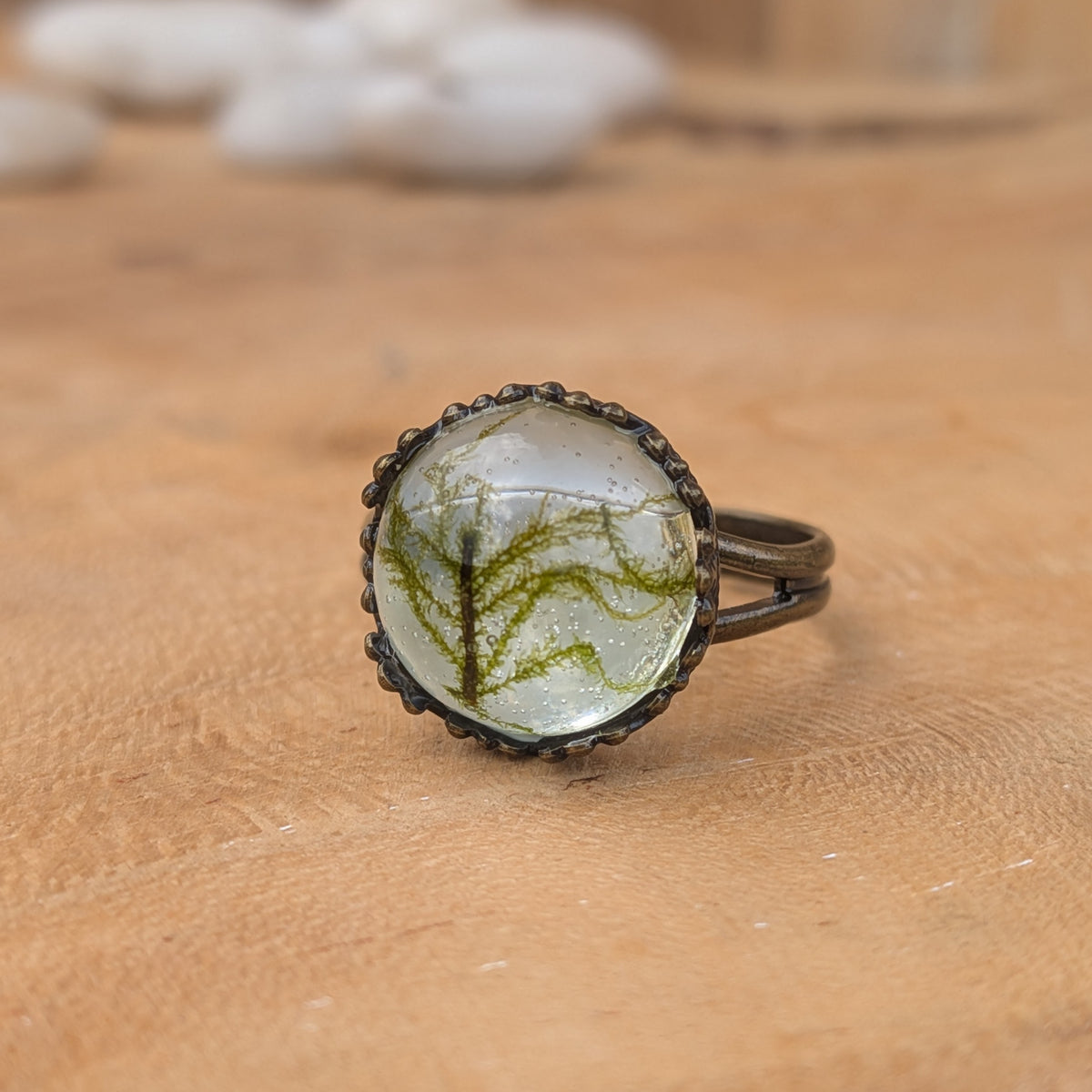 Moss Haven adjustable resin ring standing on wood, with delicate green moss branches beneath a glossy dome and its brown split band extending to the right, EL-Creations