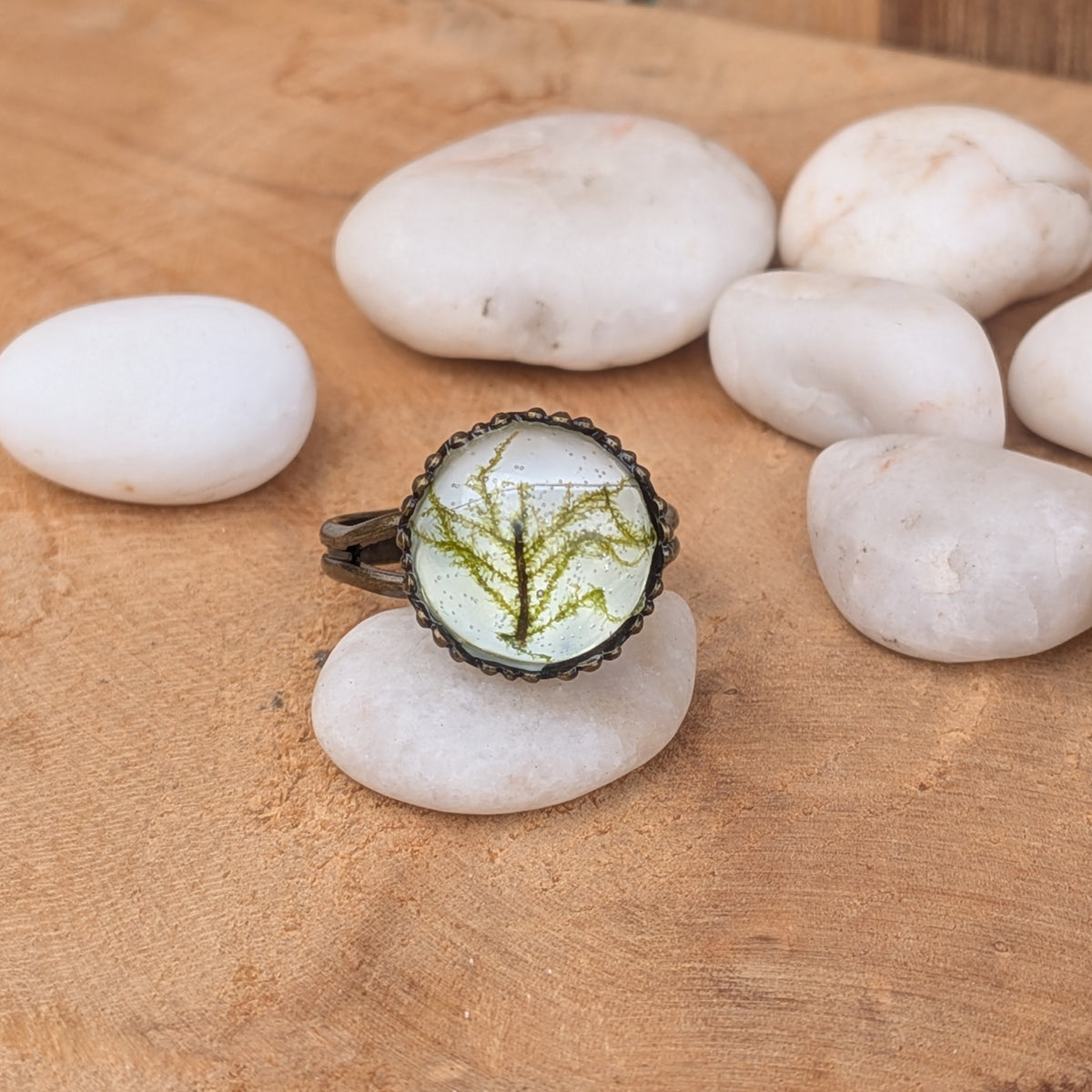 Moss Haven resin ring with real branching green moss, resting on a white pebble among smooth stones with its rustic brown band visible to the left, EL-Creations