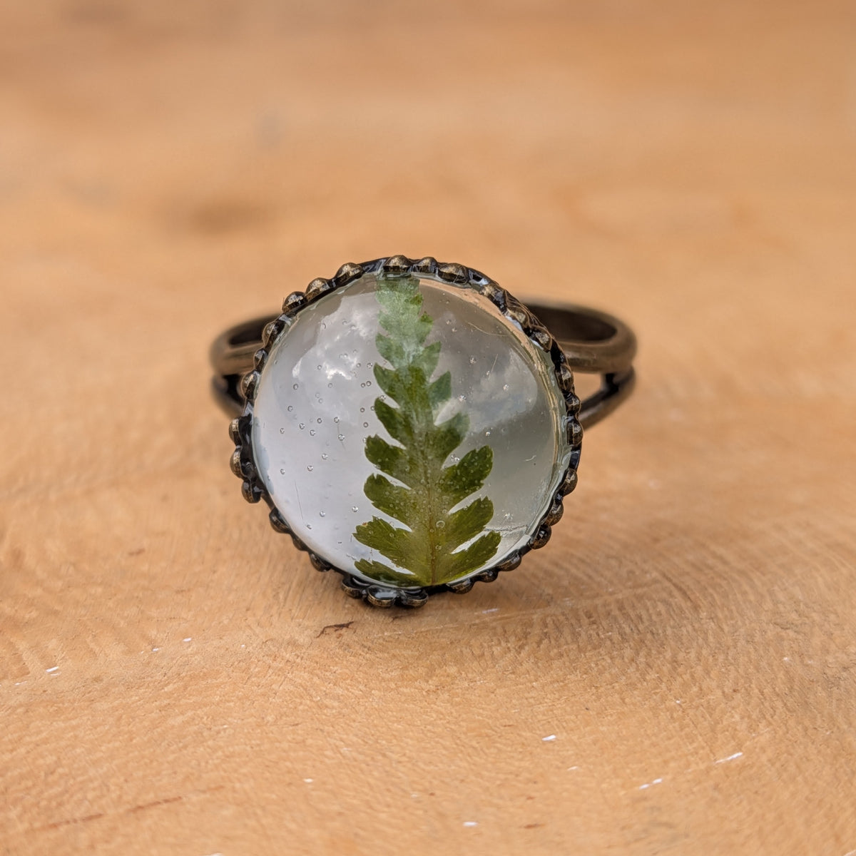 Macro view of a green fern frond preserved beneath a glossy resin dome, framed by a rustic brown ring setting on wood, EL-Creations