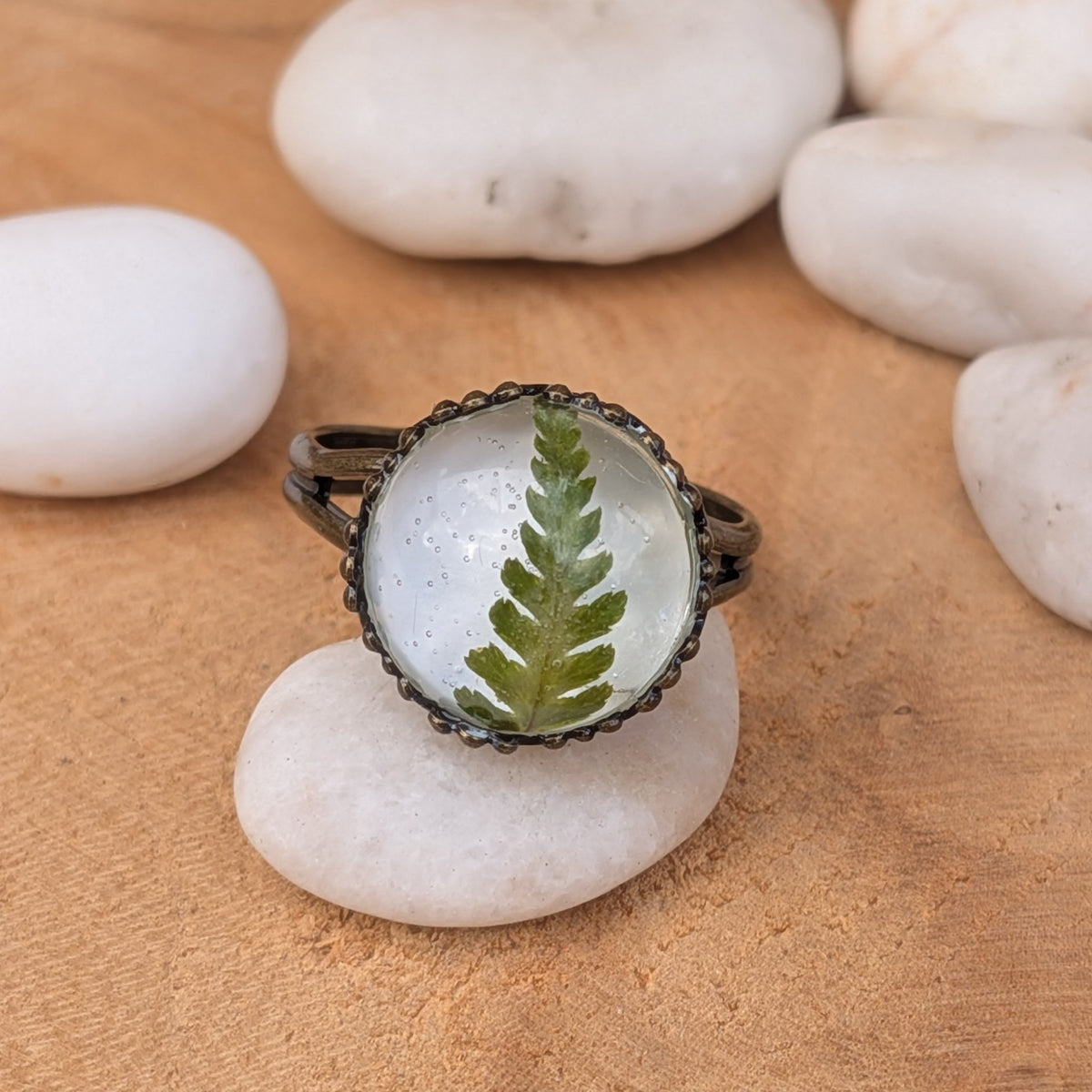 Front view of a real fern resin ring balanced on a white pebble among smooth stones, with its decorative brown border visible, EL-Creations