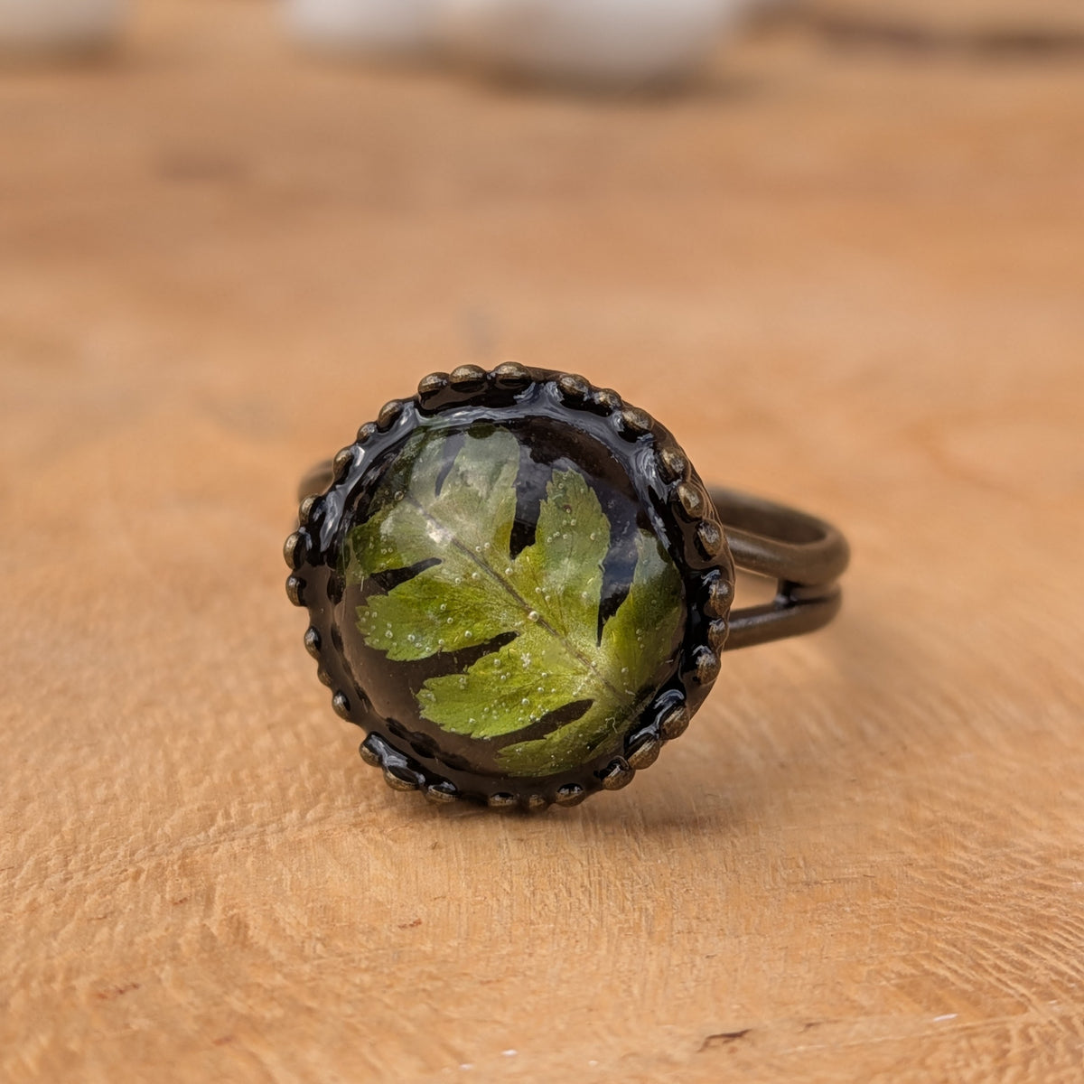 Macro view of a Woodland Fern resin ring on wood, with a real green fern arranged diagonally beneath a glossy dome in a rustic brown setting, EL-Creations