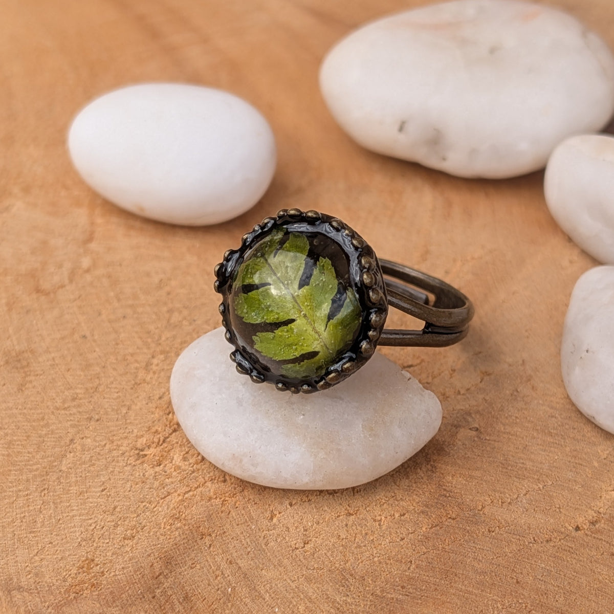 Woodland Fern botanical resin ring resting on a white pebble, showing its green fern centre and brown split band extending to the right, EL-Creations