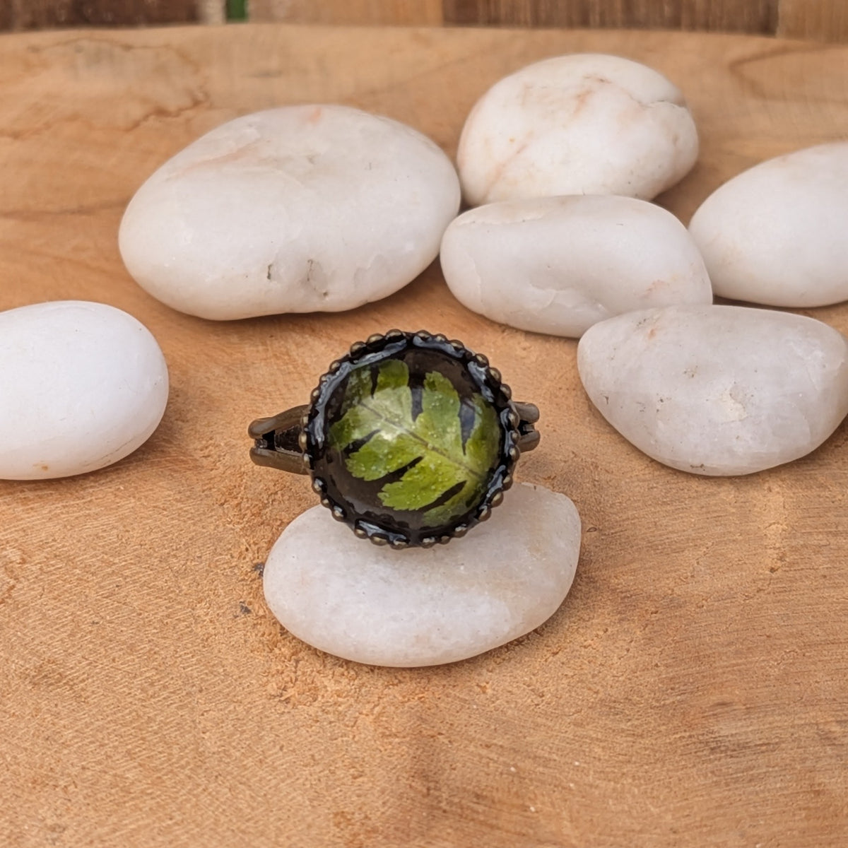 Front view of a Woodland Fern resin ring balanced on a white pebble among smooth stones, with green leaflets visible beneath the glossy surface, EL-Creations