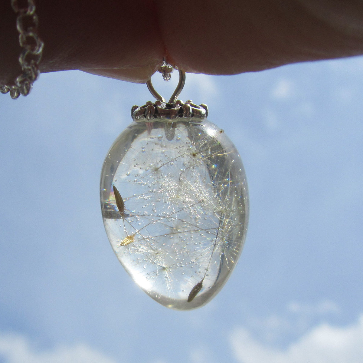 Real dandelion seeds oval resin necklace with silver chain handmade by EL-Creations