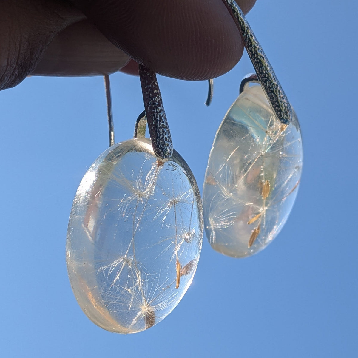 Real dandelion resin oval drop earrings with 925 sterling silver hooks by EL-Creations