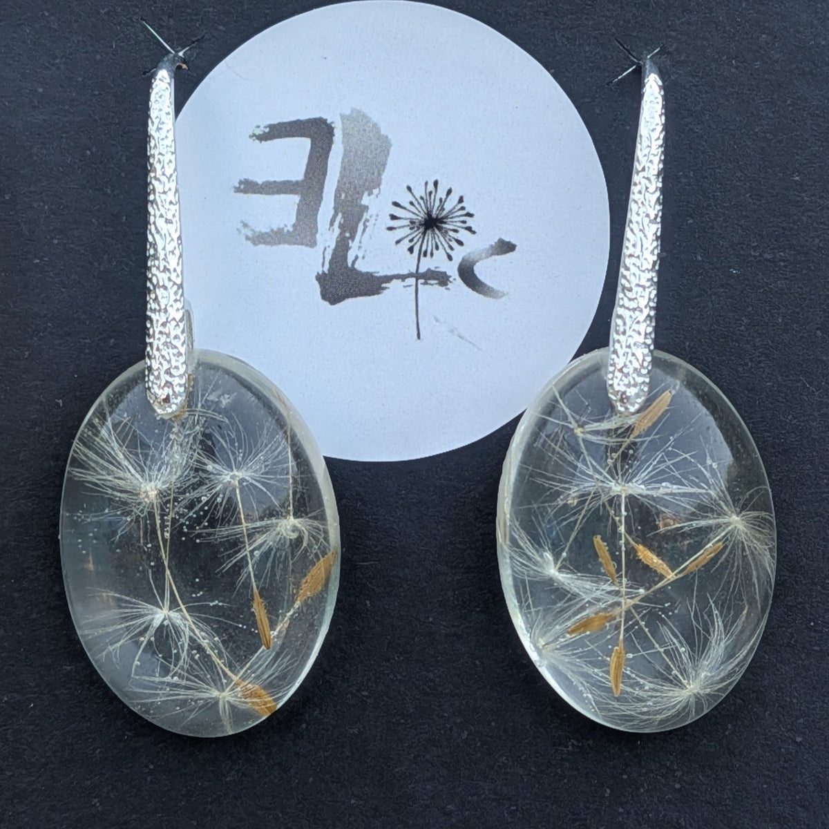 Nature inspired transparent oval dandelion resin earrings on olive wood by EL-Creations